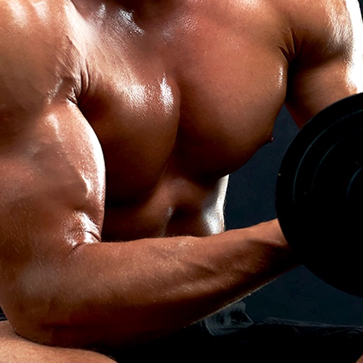 Arm Workout - Home Training