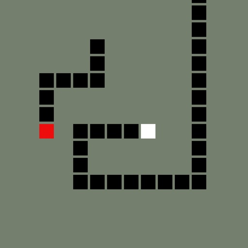 Dotted Lines - Snake
