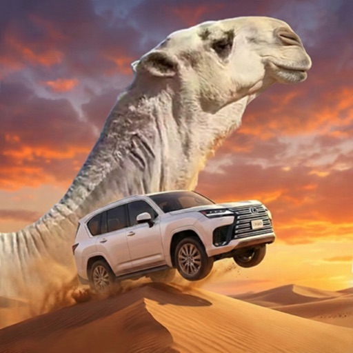 Climbing Sand Dune OFFROAD